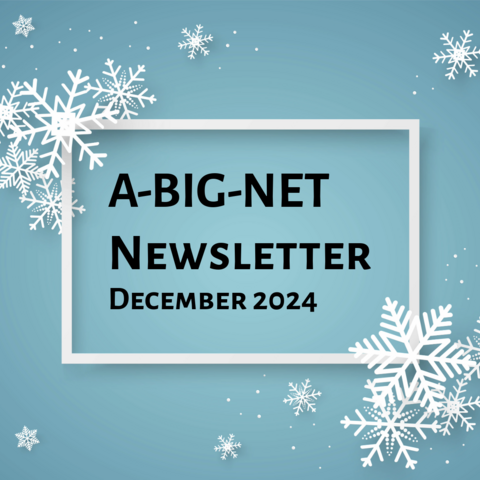 ABIGNET Dec 2024